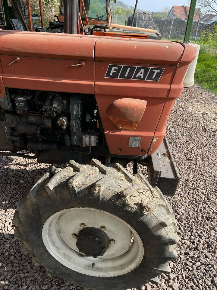 FIAT 450 DT Allrad Traktor Plantage Schlepper in Schweigen-Rechtenbach