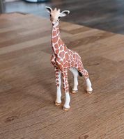 Schleich Giraffenbaby Bayern - Auerbach Vorschau