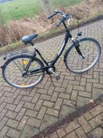 Gepflegtes 28 Zoll Damen Fahrrad Niedersachsen - Großheide Vorschau