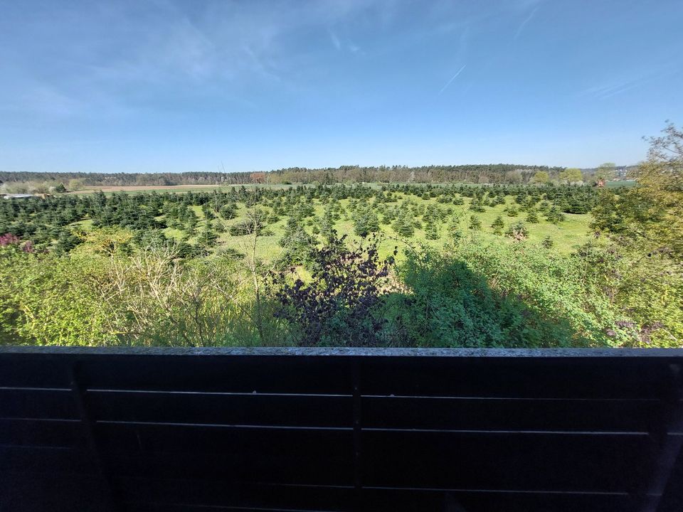 Sonniges Wohlfühlhaus mit tollem Ausblick in Roßtal-Buttendorf in Roßtal