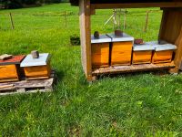 Suche Grundstück für Bienenhaltung in Güls/Metternich Koblenz - Güls Vorschau