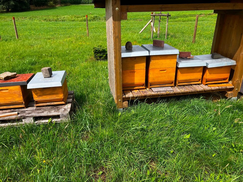 Suche Grundstück für Bienenhaltung in Güls/Metternich in Koblenz