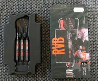 TARGET RAYMOND VAN BARNEVELD RVB 80% BLACK SOFTDARTS 18 gr. Hessen - Bad Wildungen Vorschau