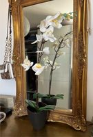 Sehr echt wirkende KUNST Orchidee MIT Umtopf Nordrhein-Westfalen - Geseke Vorschau