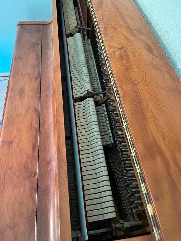 Grotrian Steinweg V122 Eibe Klavier in Goldbach