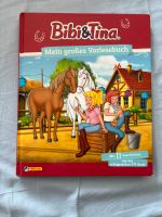 Bibi und Tina mein großes Vorlesebuch Niedersachsen - Sulingen Vorschau