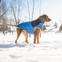 Hundemantel großer Hund blau 4XL Rückenlänge 81cm Bayern - Kleinaitingen Vorschau