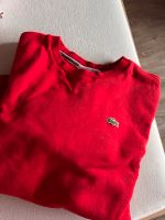 Lacoste Sport Pulli Hessen - Bischofsheim Vorschau