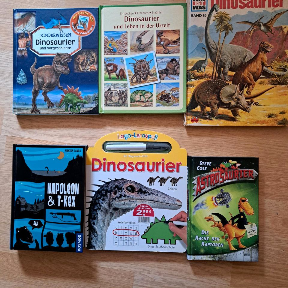 Kinderbücher Buch Dinosaurier Was ist was in Uplengen