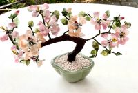 Bonsai Edelstein Kirschblüte Jade Nordrhein-Westfalen - Langerwehe Vorschau