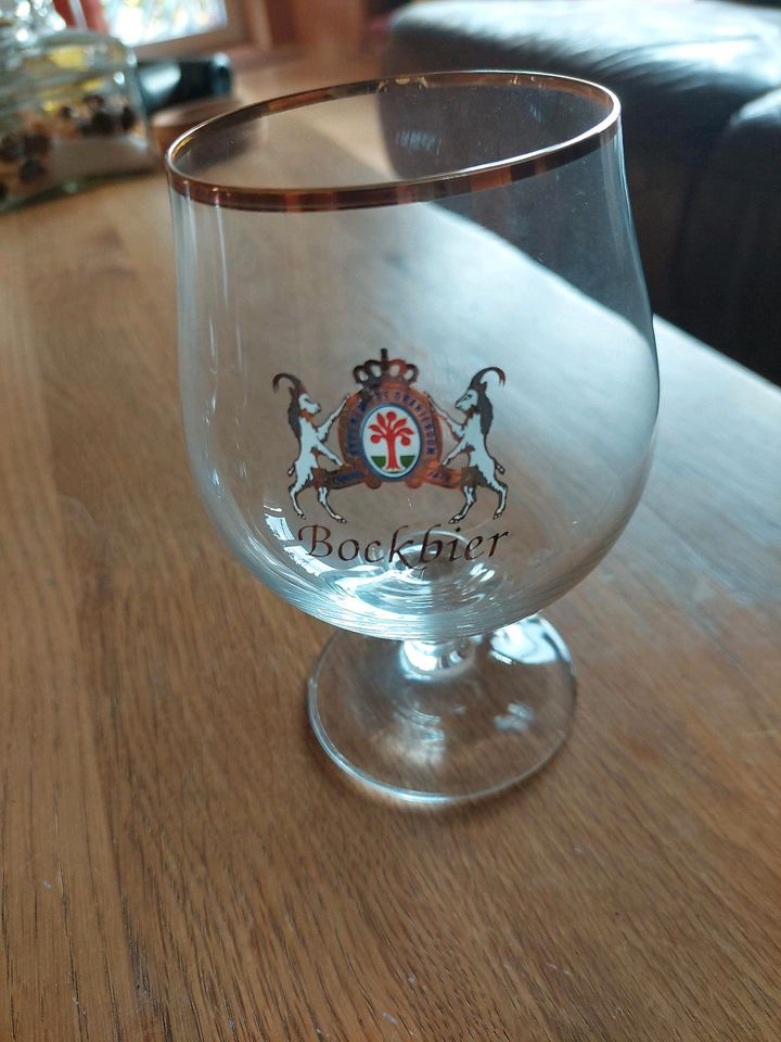 21 Biergläser von Brouweryde de Orangjeboom. in Moers
