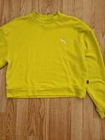Puma Damen Pullover Neon gelb Thüringen - Erfurt Vorschau