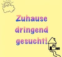 Wohnung oder Haus zur Miete Niedersachsen - Loxstedt Vorschau