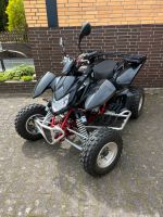 Access 4.38 Triton 450 Quad ATV TÜV NEU! Niedersachsen - Ebstorf Vorschau