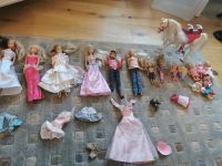 Barbie Sammlung Pankow - Prenzlauer Berg Vorschau