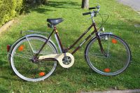 Fahrrad 28 Zoll Damenrad Paloma mit Torpedo 3 Gang Schaltung Hessen - Brachttal Vorschau