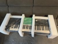 Korg Pa 5x Münster (Westfalen) - Hiltrup Vorschau