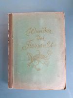 Wunder der Tierwelt aus dem Jahr 1936 Niedersachsen - Neustadt am Rübenberge Vorschau