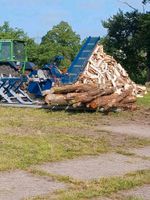 Holzspalten Feuerholz Lohnspalten Sägespaltautomat Brennholz Niedersachsen - Wagenfeld Vorschau