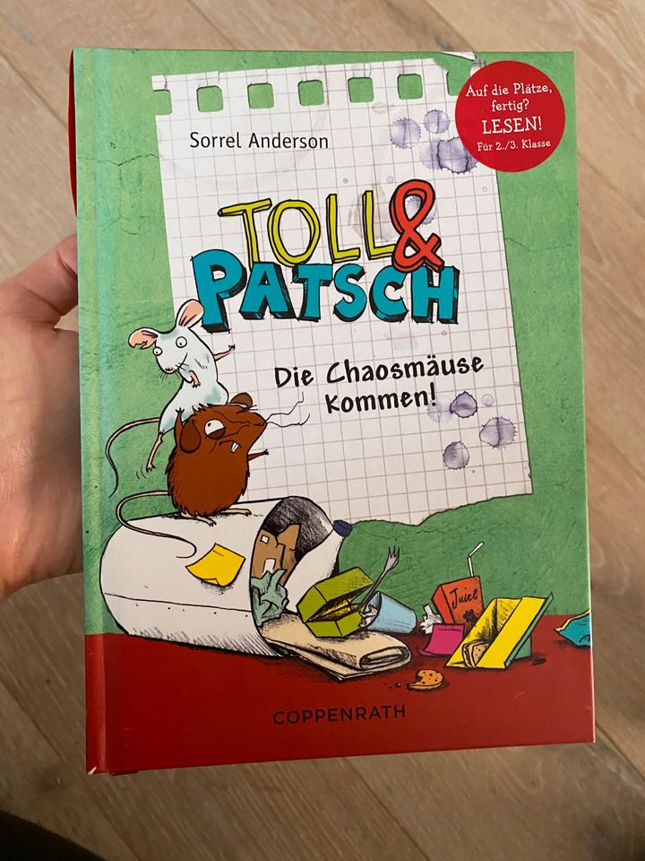 Toll & Patsch die Chaosmäuse kommen! Kinderbuch Sorrel Anderson in Verl