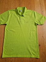 Herren Polo Shirt neu Gr M  trigema Rheinland-Pfalz - Birken-Honigsessen Vorschau