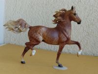 MoDELLPFERD BREYER ARAB HUCKL BEY dappl FUCHS CM JCLAUS USA LSQ S Hessen - Oberursel (Taunus) Vorschau