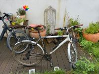 Corratec Special Edition Fahrrad Schleswig-Holstein - Lübeck Vorschau