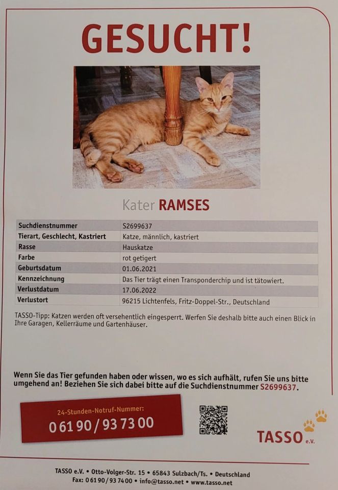 +++ RAMSES VERMISST +++ in Lichtenfels