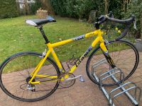 SALE: Rennrad Giant tcr 1 Once Teamfahrrad 28 Zoll 50 cm Rahmen Schleswig-Holstein - Großhansdorf Vorschau