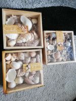 Muschelset Bayern - Parsberg Vorschau