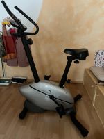 Heimtrainer Proteus Dolphinbike Rheinland-Pfalz - Kausen Vorschau