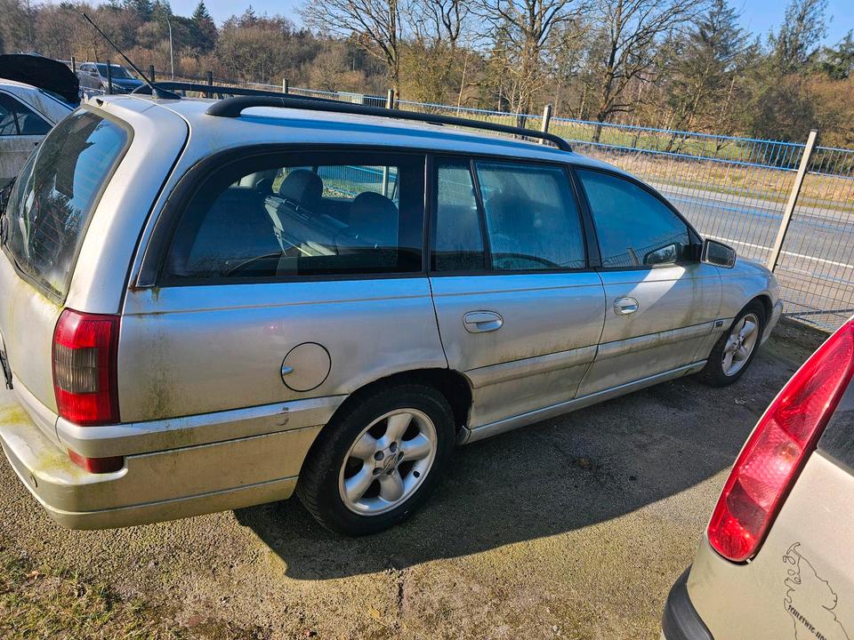 Opel Omega B Diesel  2,5 DTI  kein TÜV Leder voll fahrbereit in Wallsbüll