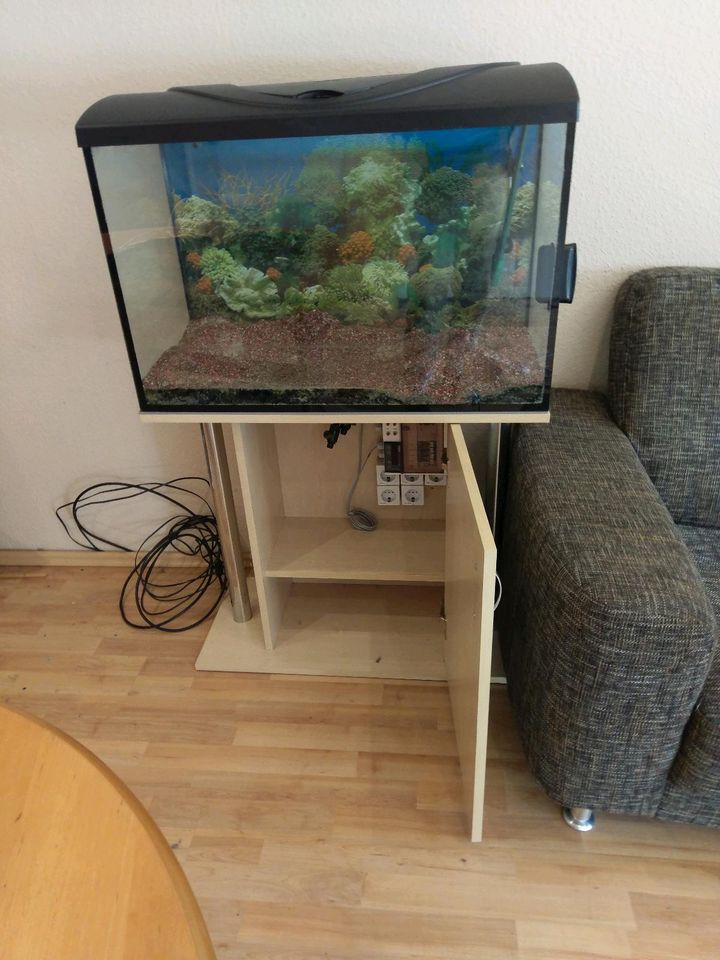 Aquarium wie abgebildet ohne Pumpe in Hagen