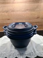 Tupperware Micro Combi Gourmet 2L Hessen - Philippsthal (Werra) Vorschau