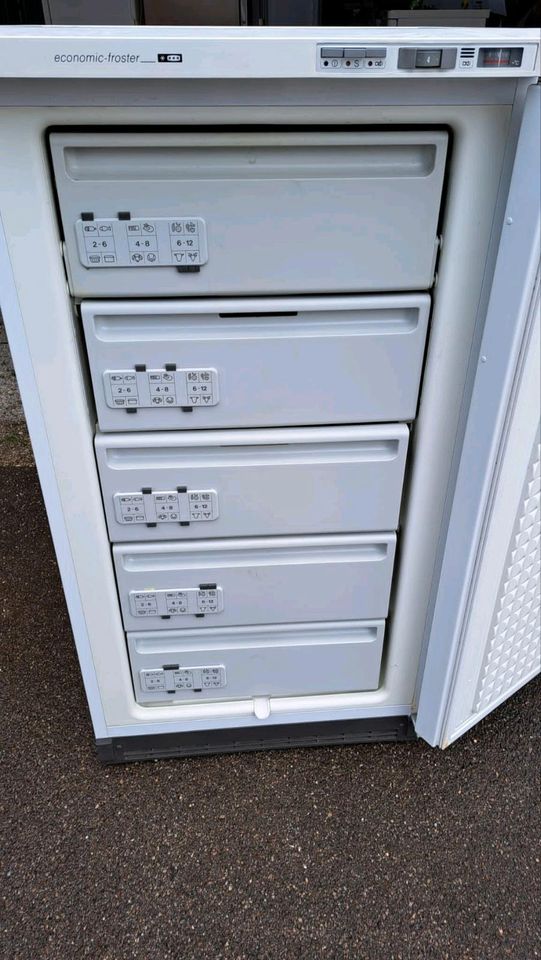 Gefrierschrank BOSCH 125cm TOP ZUSTAND !!! in München