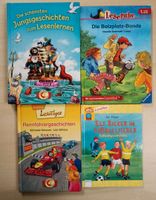 Kinderbücher Leseanfänger Junge Niedersachsen - Buchholz in der Nordheide Vorschau