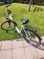 Gudereit Damen City 7.0 Fahrrad 28 Zoll gebr. Nordrhein-Westfalen - Kalletal Vorschau