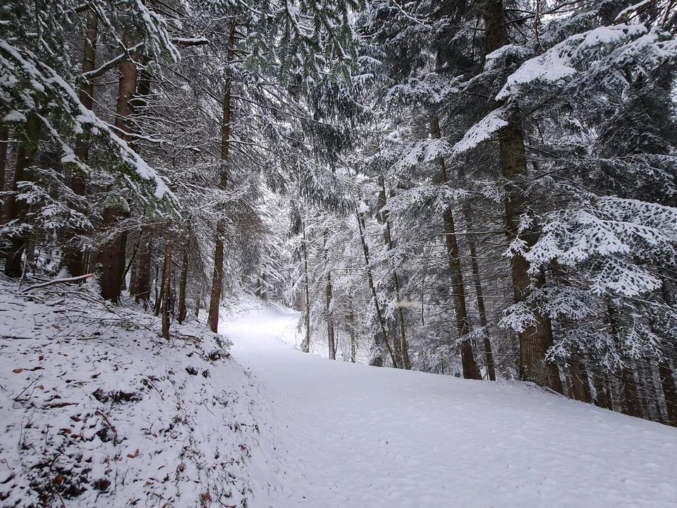 Ferienwohnung Wandern, Wassersport, Ski 2-3 Pers je Pax ab 4 Tage in Moormerland