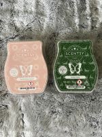 Scentsy Bars ( nicht mehr erhältlich) Rheinland-Pfalz - Wöllstein Vorschau