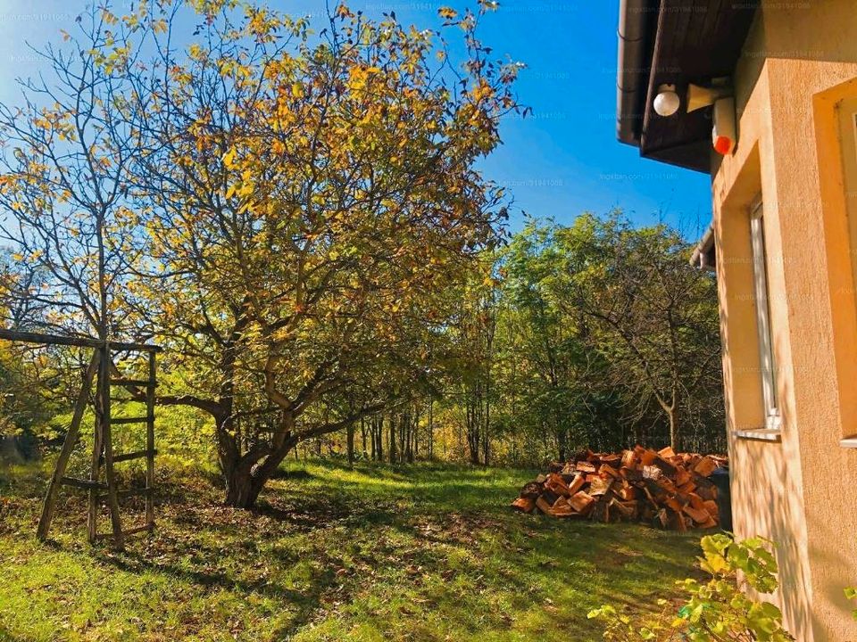 Einfamillienhaus in Ungarn mit grossem Grundstück in Stuttgart