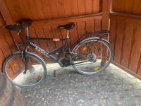 Herren Trekking Fahrrad Hessen - Weimar (Lahn) Vorschau