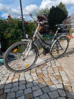 Fahrrad 28“ Damen Aluminium Dresden - Cossebaude Vorschau