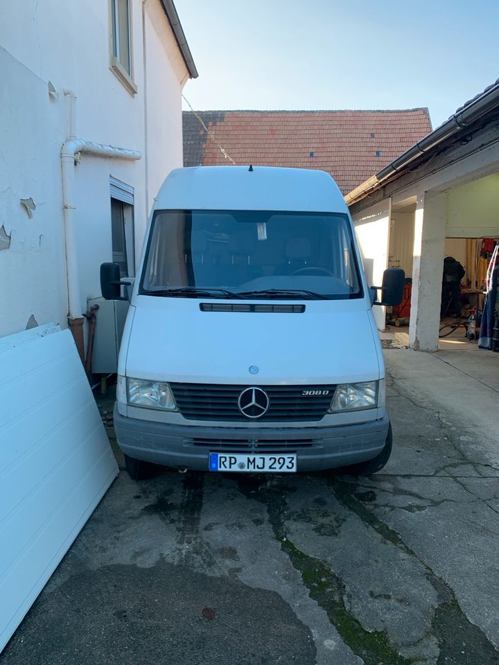 Mercedes Benz Sprinter 308d in Dannstadt-Schauernheim