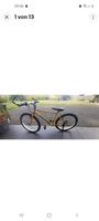 Centurion PROCRAFT Backfire Mountainbike 21 Gang  24Zoll Alu Hessen - Waldems Vorschau