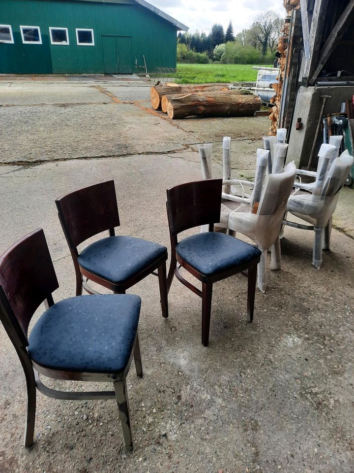 Mahagoni Stühle in Elmshorn