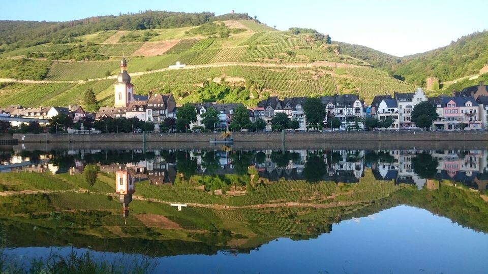 Ferienwohnung Zell Mosel Balkon Moselblick Parkplatz in Zell (Mosel)