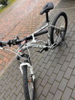 Fahrrad fuji Niedersachsen - Barsinghausen Vorschau