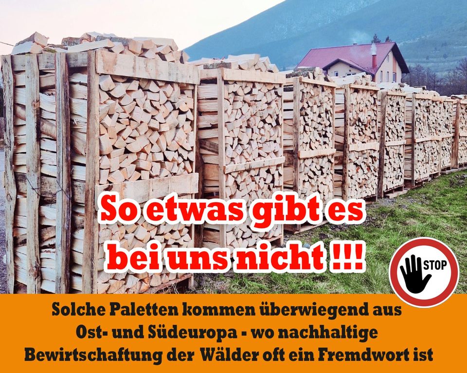 ab 4 m³ bis 35 m³ -  bis 40 Km um Halle Merseburg Petersberg Wettin Kaminholz, Brennholz, Feuerholz, Holzvergaser, Kamin, Holz, Feuer, Brenn in Halle