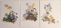 3 Blumen-Postkarten, DDR, blanko Sachsen - Limbach-Oberfrohna Vorschau