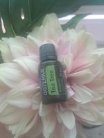 Doterra Tea Tree 15ml NEU Bayern - Ingolstadt Vorschau